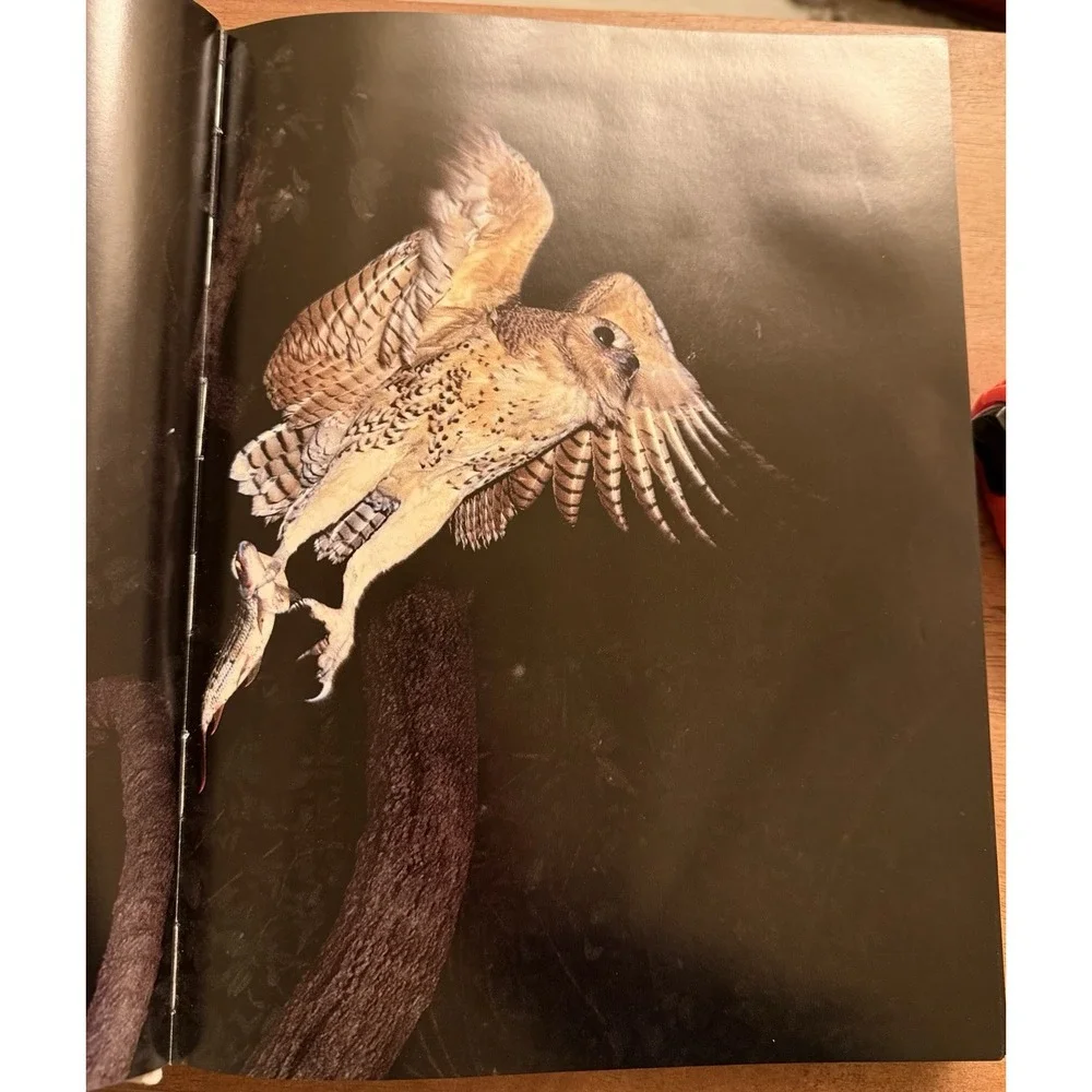Audubon Society Book of‎ Water Birds 1987 Abrams Les Line